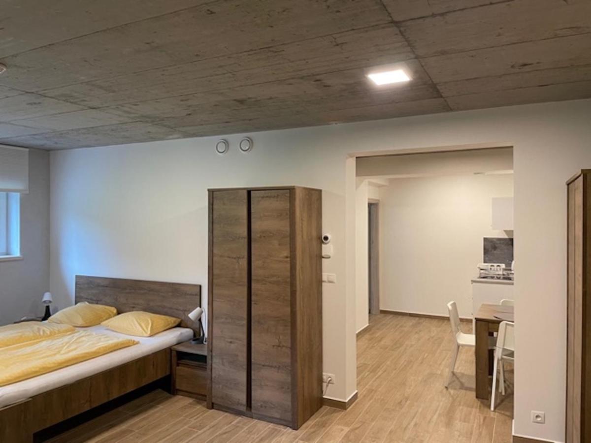 Apartmany Bila Nisa Bedřichov 外观 照片